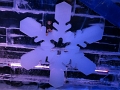 Kids_ICE-2017 (37)
